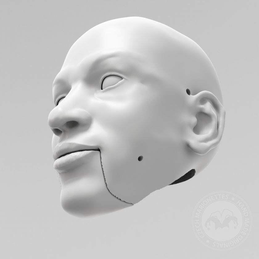 3D Model hlavy Michaela Jordana pro 3D tisk