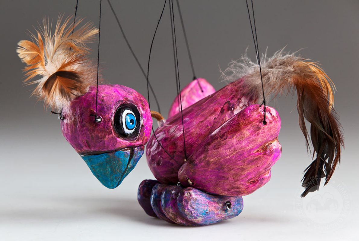 Bird Pinky Czech Czech