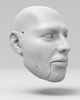 3D-Modell von Freddie Mercurys Kopf