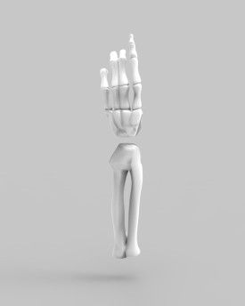3D Model of skeleton's hands for 3D print