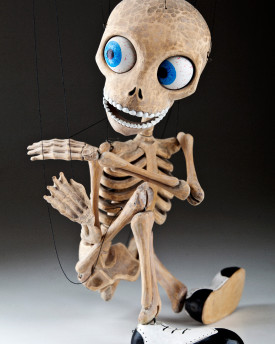 Spezielles einzigartiges Skelett von Aleš