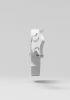 foto: Mandolinemodel für den 3D-Druck