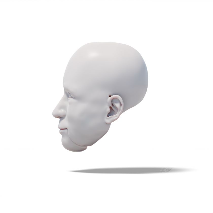 Muž 3D modely hlavy muže