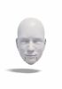 foto: Man 3D model of head