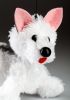 foto: Hurvinek's dog marionette
